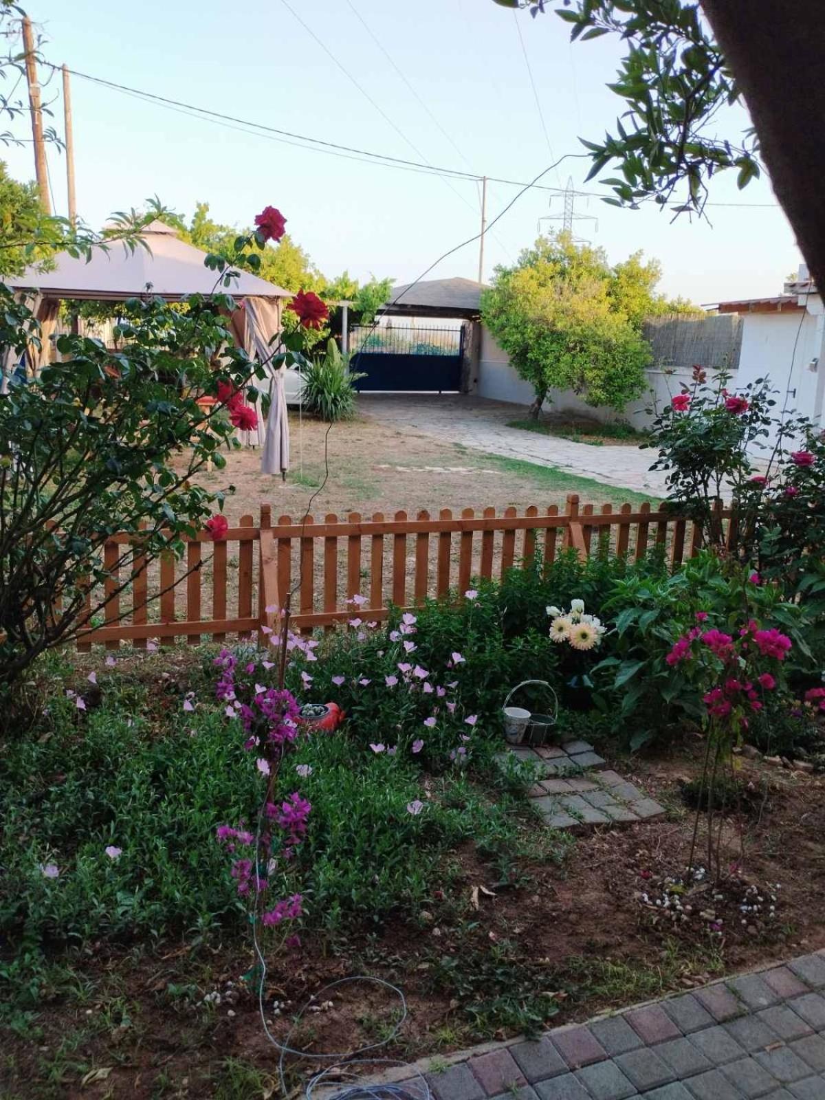 Floras House Apartman Návplio Kültér fotó